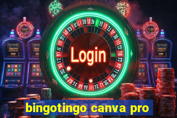 bingotingo canva pro